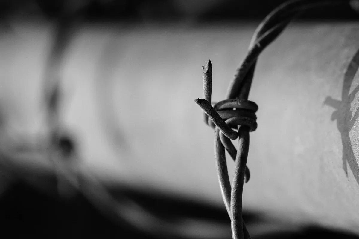 Expanding Cyber Defense Through AI and ML