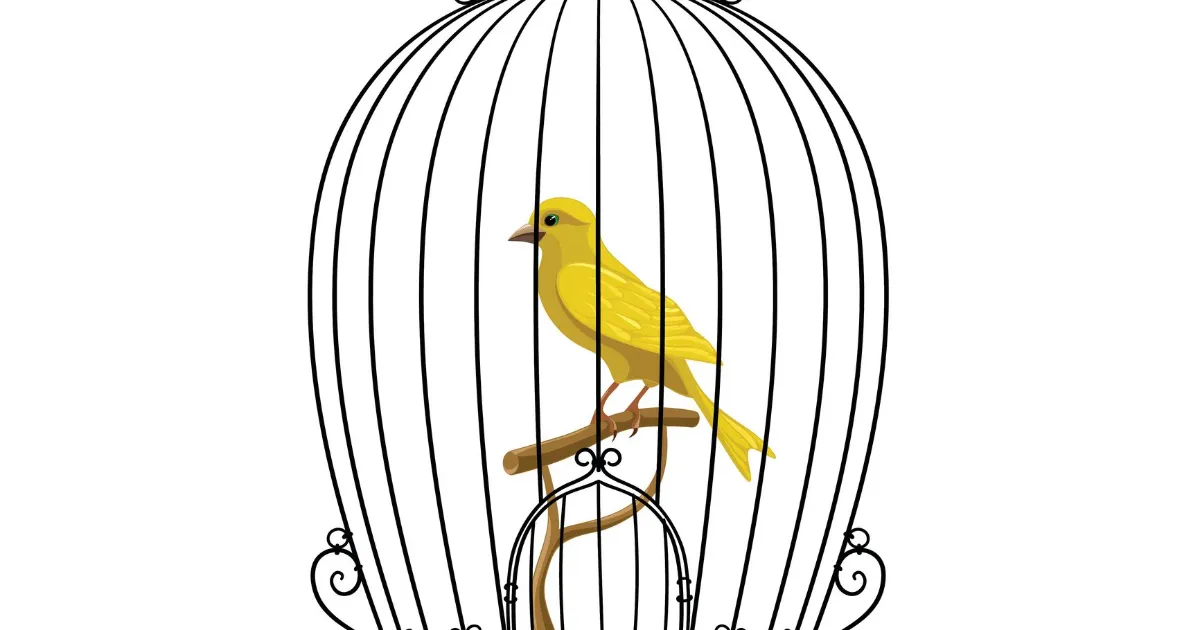 Are Canary Releases an Alternative to Testers?