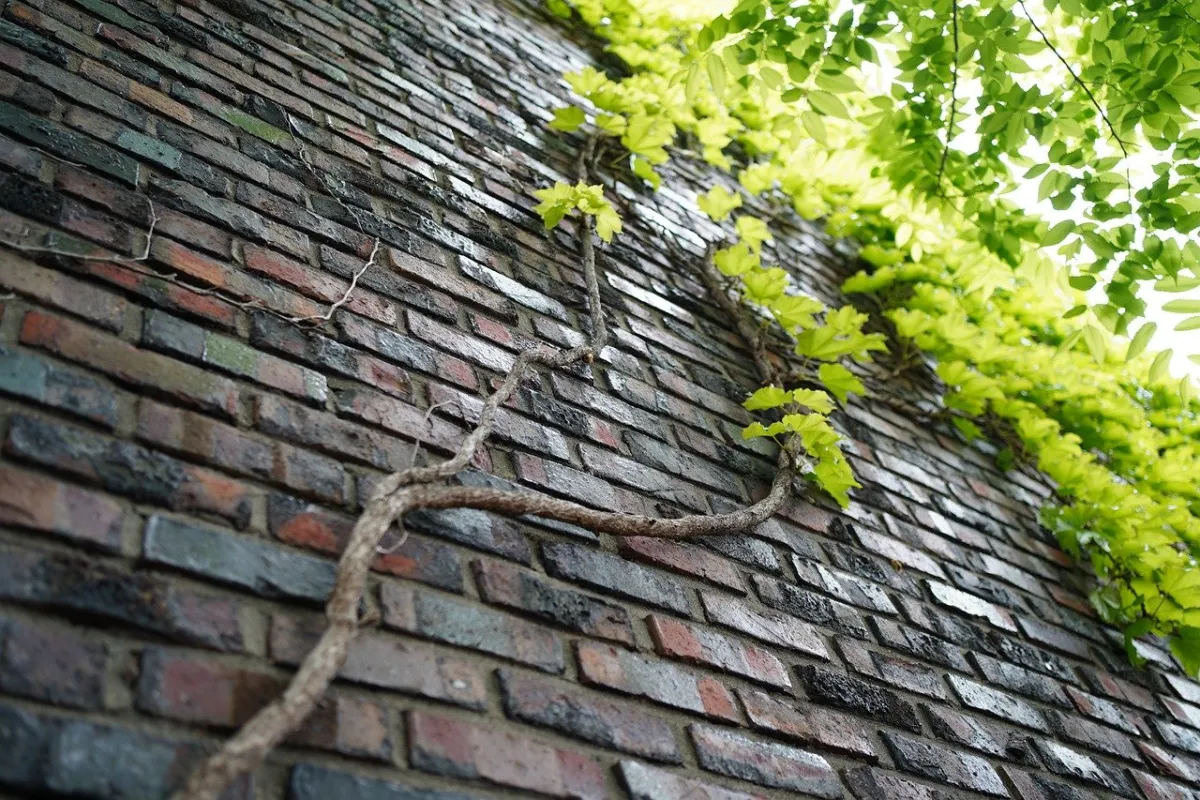 Why the Security Industry Has Workload Protection All Wrong