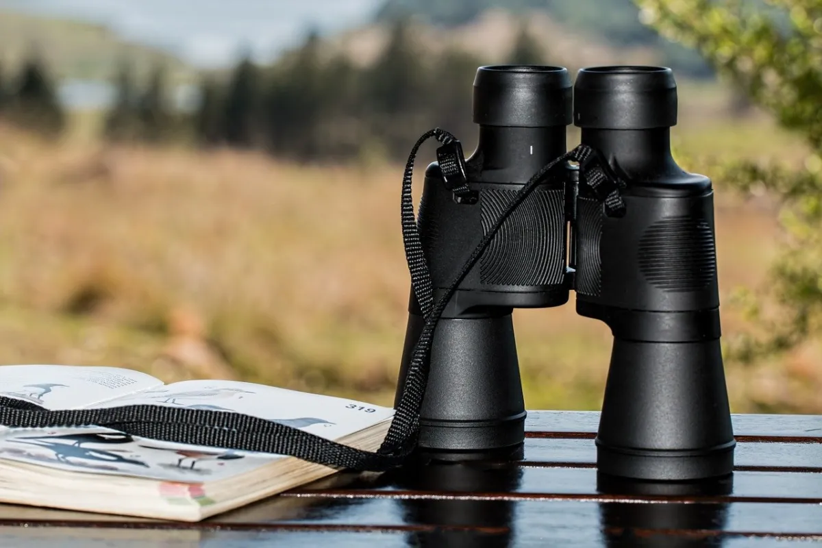 10 Fundamental Principles of Effective Monitoring