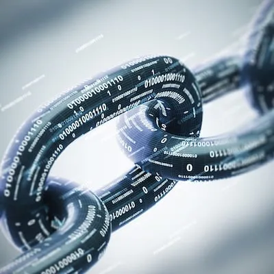 Seth James Nielson on Blockchain Technology for Data Governance