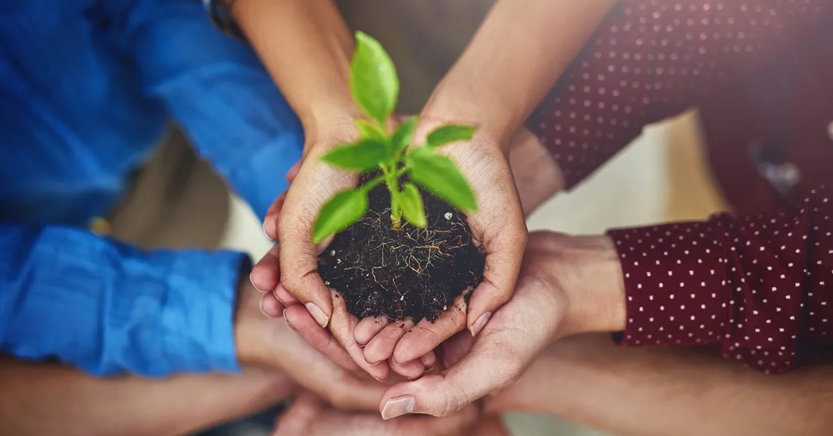 Improving Organizational Agility with Self-Management