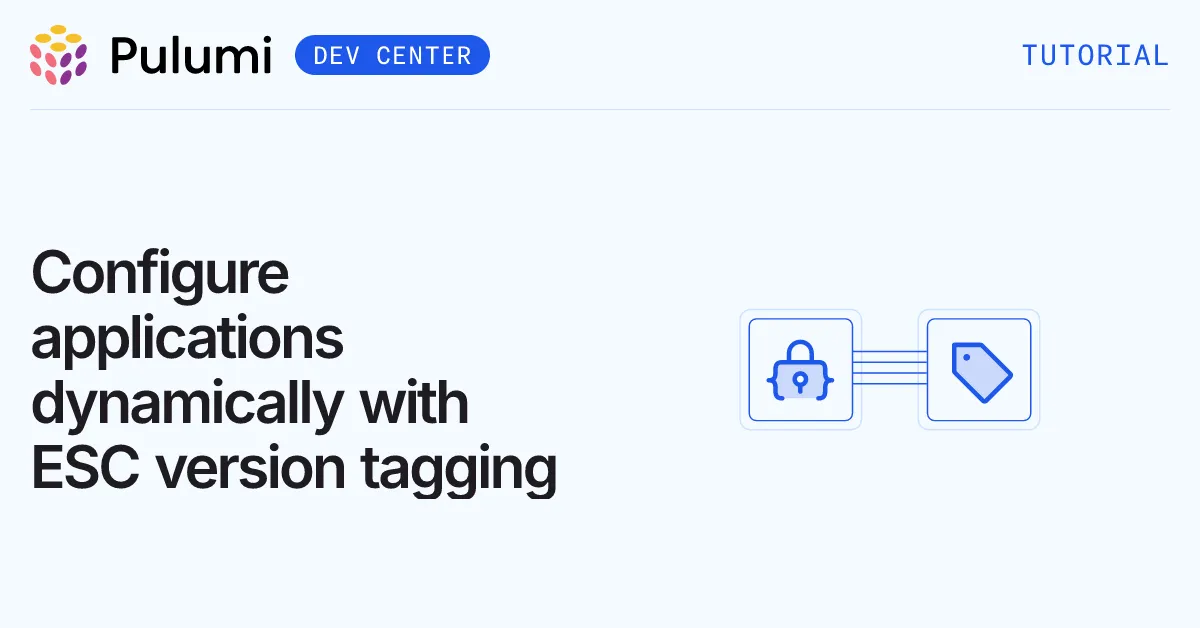 Configure applications dynamically with ESC version tagging