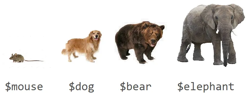 The Dilemma of Naming Font Size Variables
