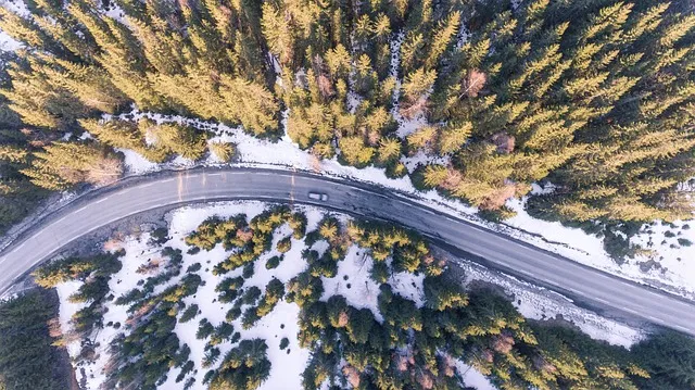 Grappling with Observability Data Management