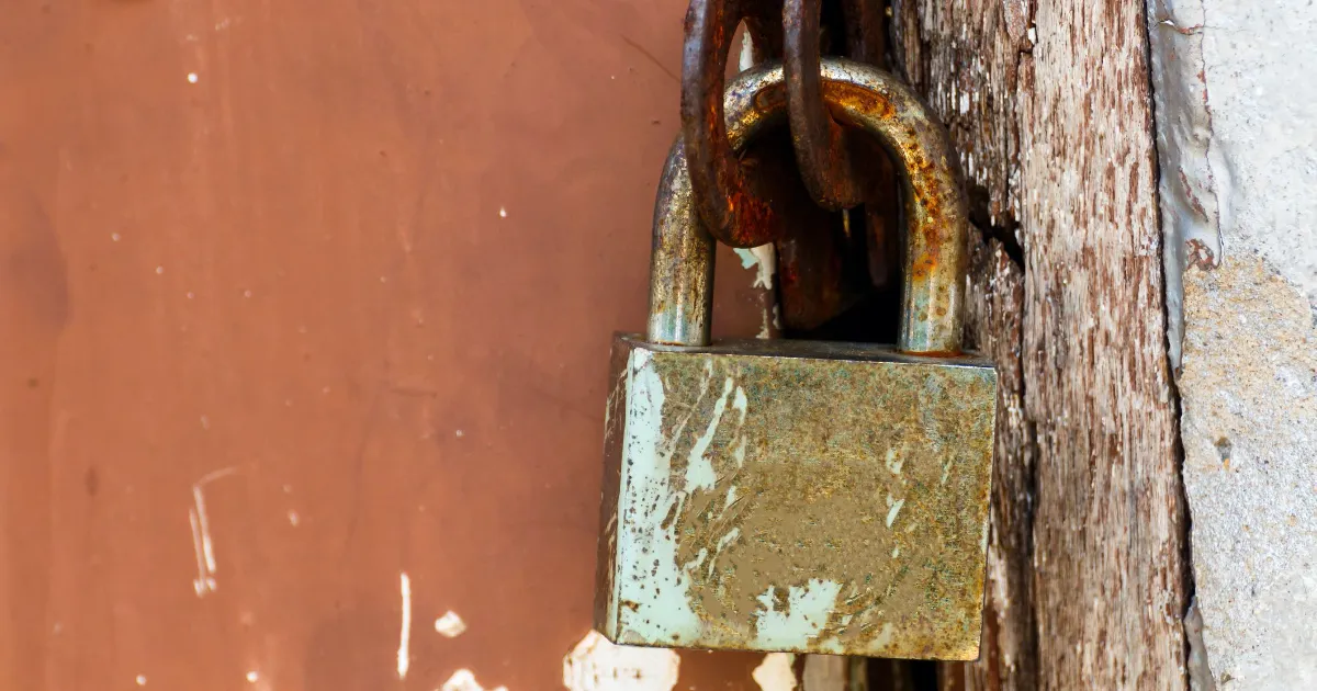 Strategies for Assessing and Prioritizing Security Risks Such as Log4j