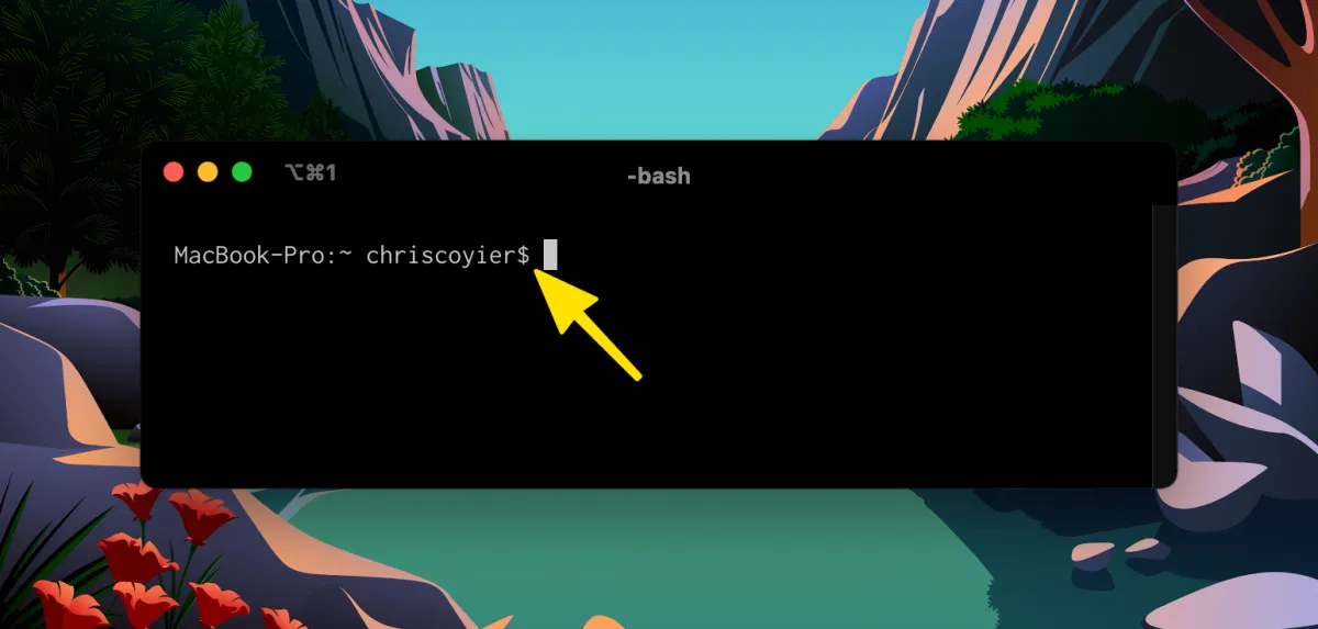 To $ or Not to $: Displaying Terminal Code Snippets