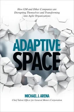 Q&A on the Book Adaptive Space