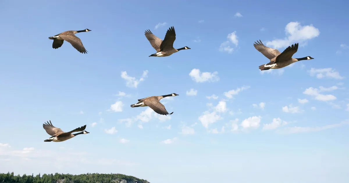 Migrating to the Cloud: Is It as Intimidating as It Appears?