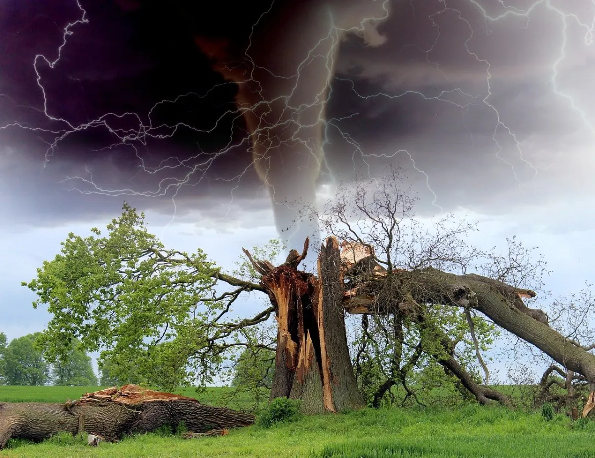 Disaster Recovery Is Different for the Cloud