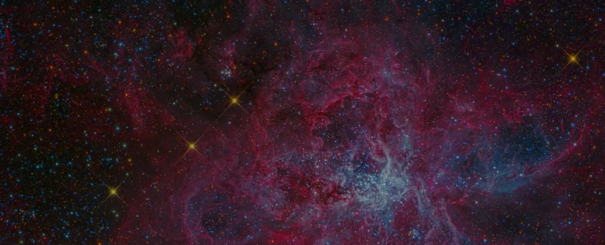 Stargazers: A tool for analyzing your GitHub stars
