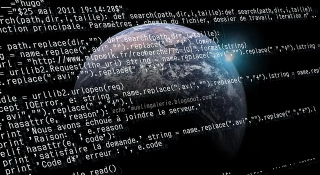Linus Torvalds, Self-Sustainability and Cultures of Blame