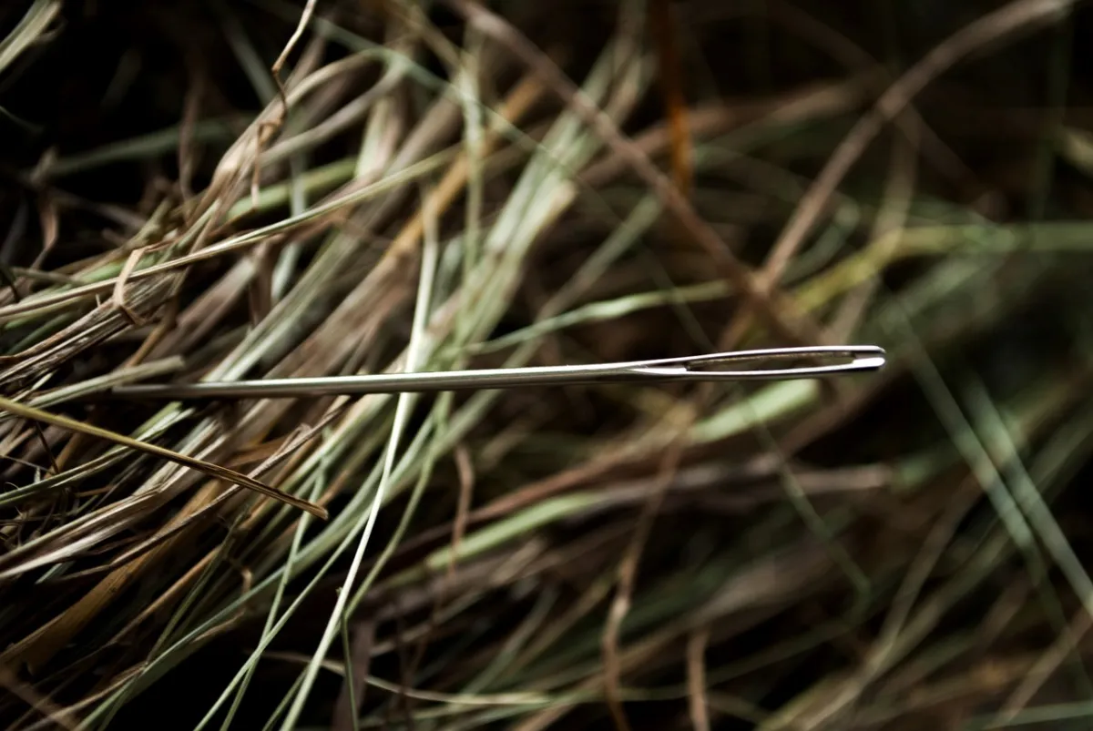 Using Graphs and Machine Learning to Find Needles in a Haystack