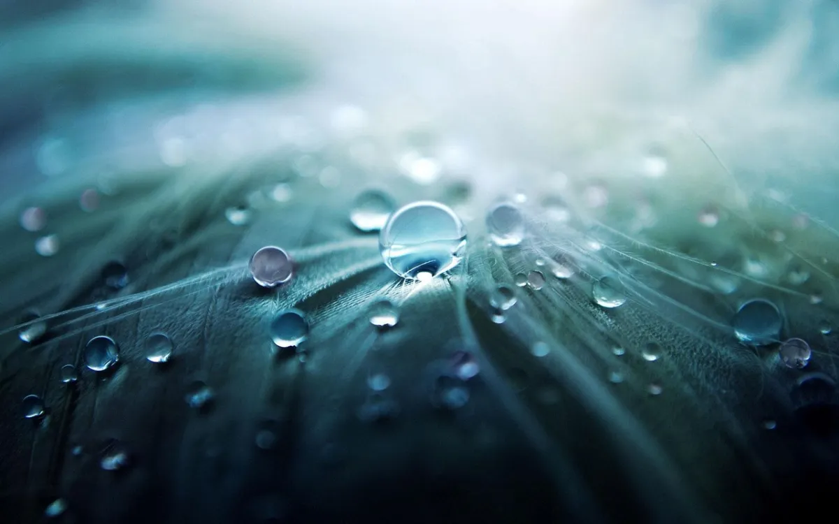 The Future Is Data Center as a Service
