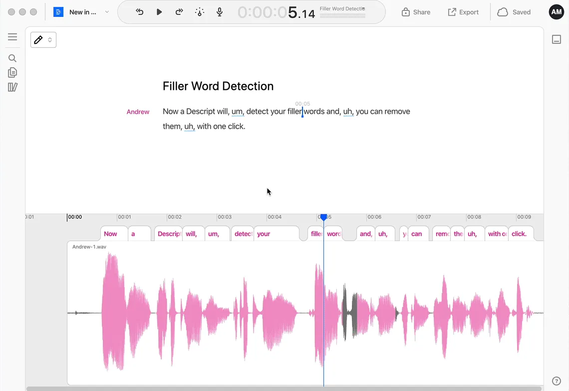 New in Descript: Um detection, search, and more