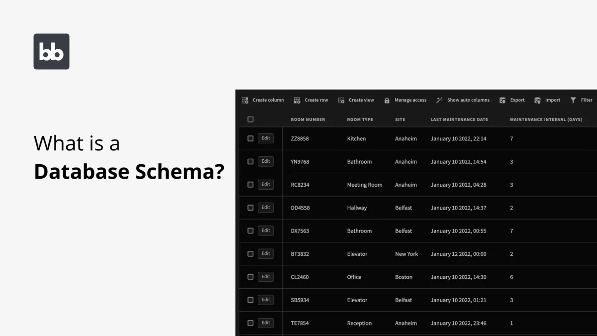 What is a Database Schema?
