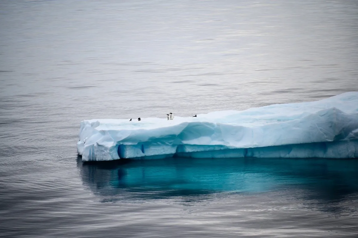 CI Observability for Effective Change Management