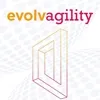 Q&A on the Book Evolvagility: Growing an Agile Leadership Culture from the inside out