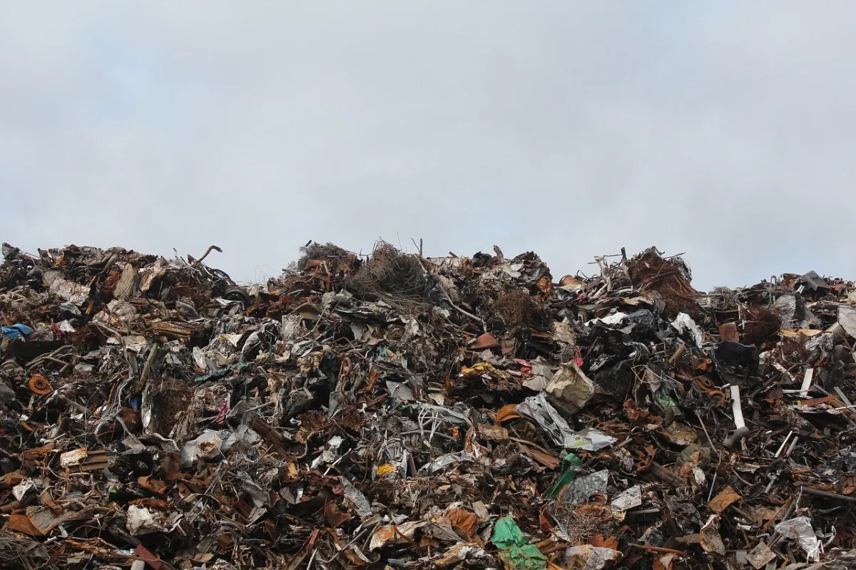 The R&D Manager vs. Organizational Waste: An Ecosystem at War
