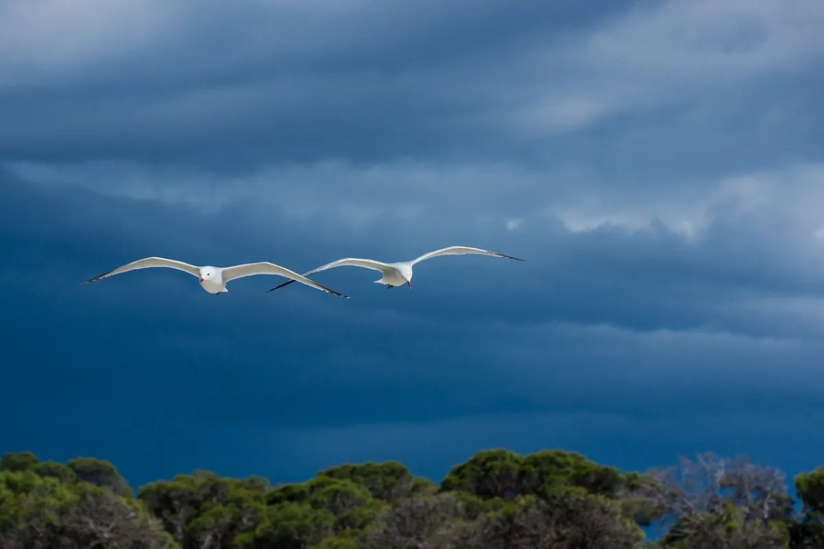 Configuring the Google Cloud Platform for High Availability