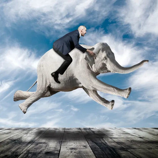 Agile Implementation from a Manager