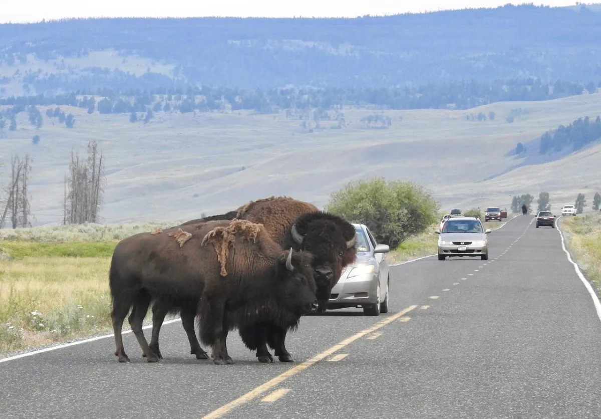 Removing the Roadblock to Continuous Performance Testing