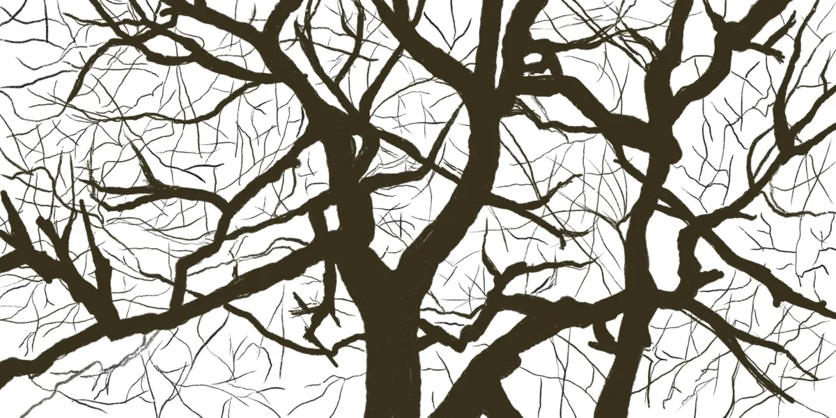 How to Modify Nodes in an Abstract Syntax Tree