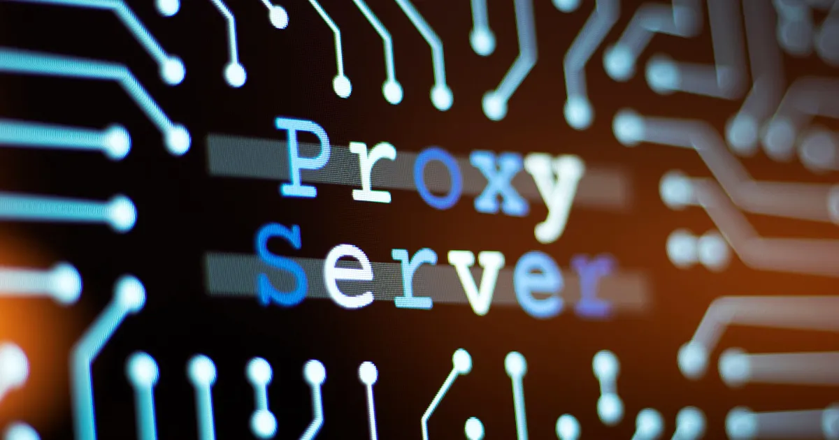The What and Why of Programmable Proxies