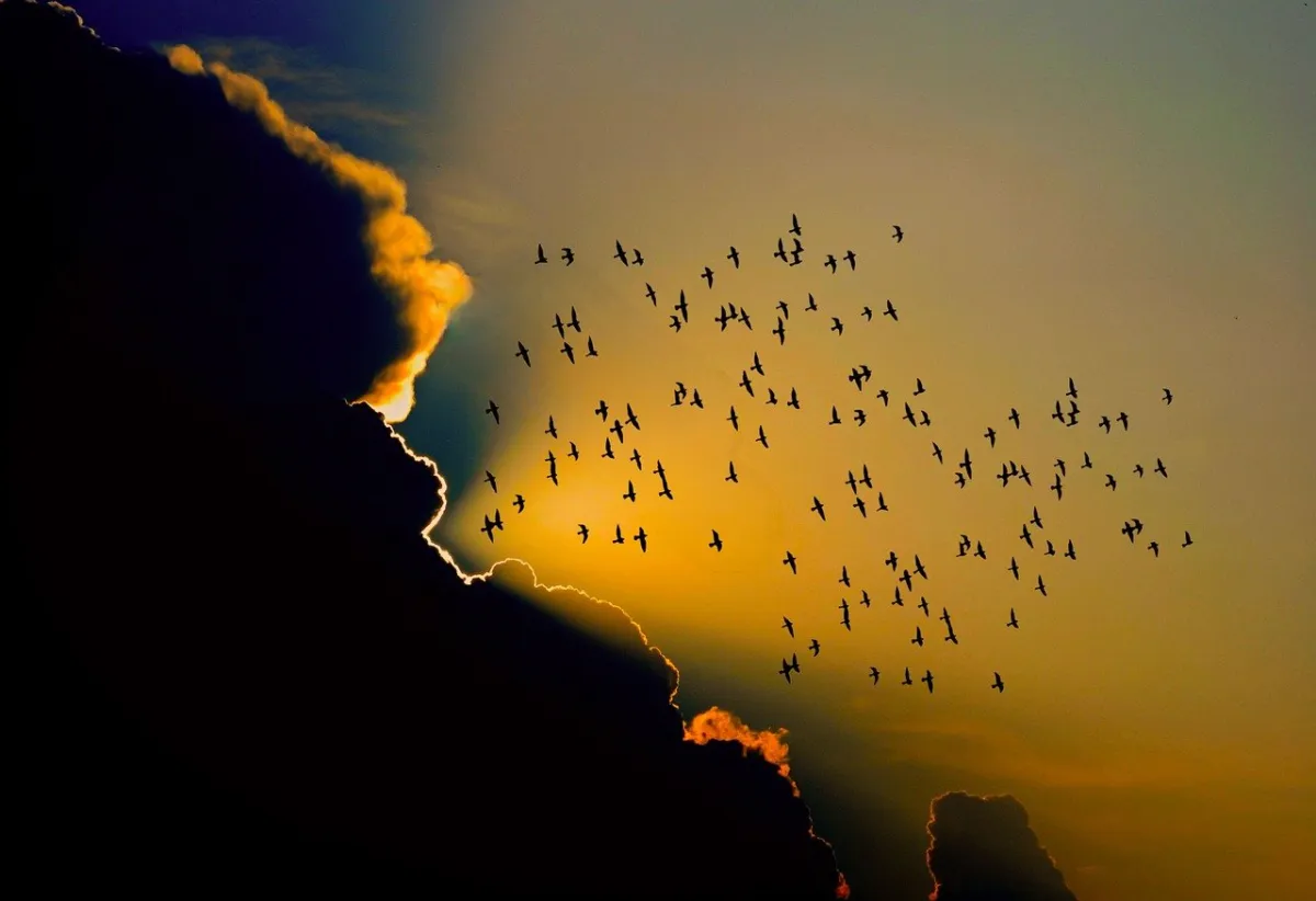 Common Mistakes to Avoid When Migrating