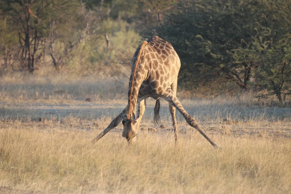 3 DevOps Mistakes We're Still Making