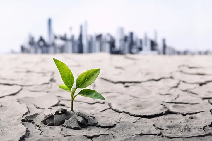 Is 2019 the Year Agile Transformation Will Finally Work?