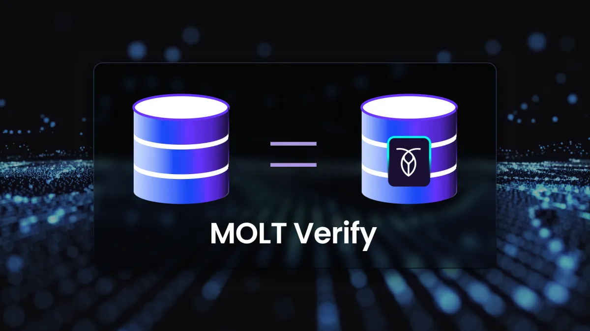 MOLT Verify: Ensuring Data Integrity in Database Migrations
