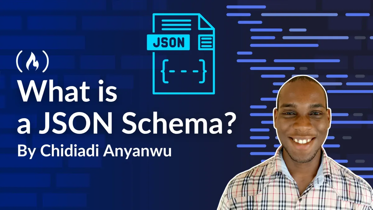 What is a JSON Schema?