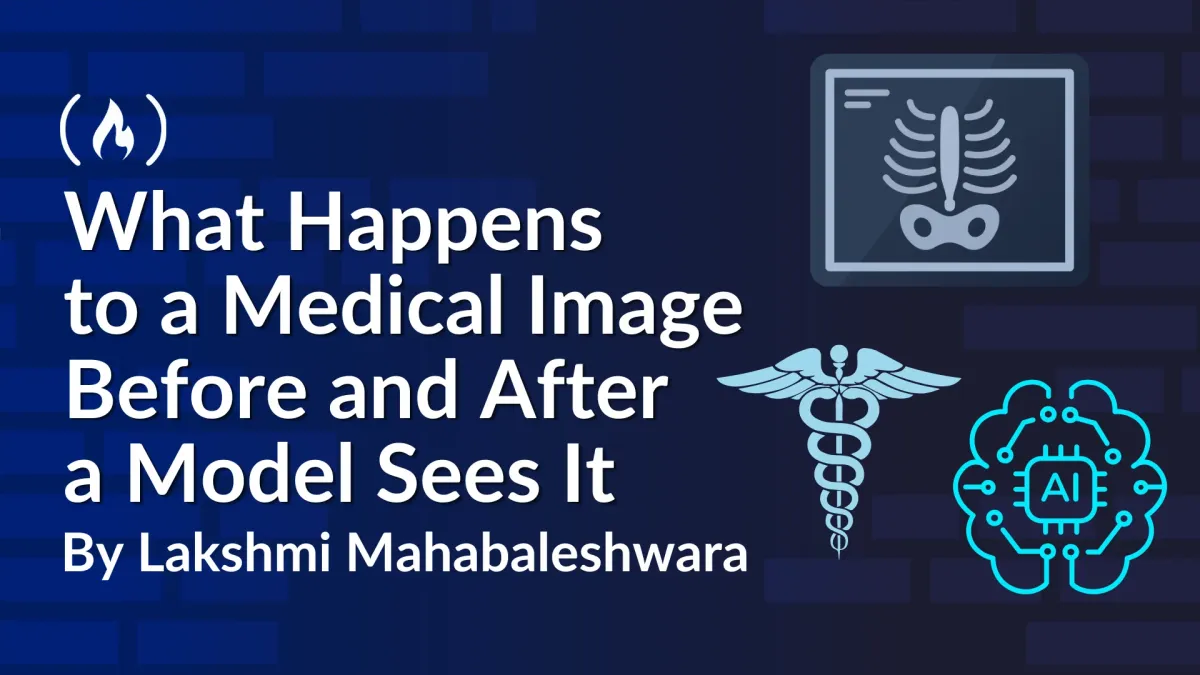What Happens to a Medical Image Before and After a Model Sees It