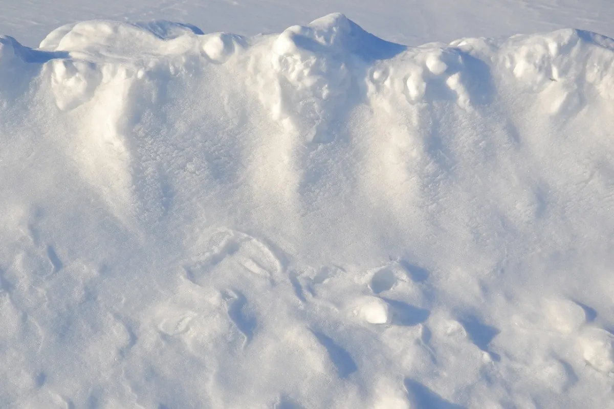Use the Drift and Stability of Data to Build More Resilient Models