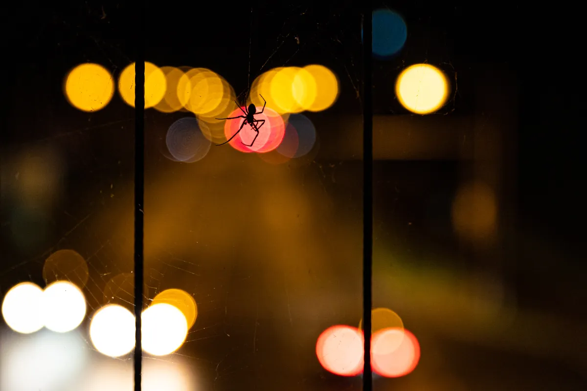 Early Scattered Spider member pleads guilty to cybercrime spree