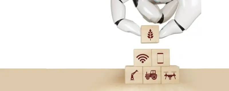 What Does an AI Transformation Look Like?