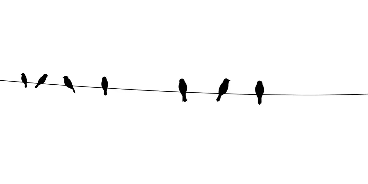 Not Your Typical Horizontal Rules