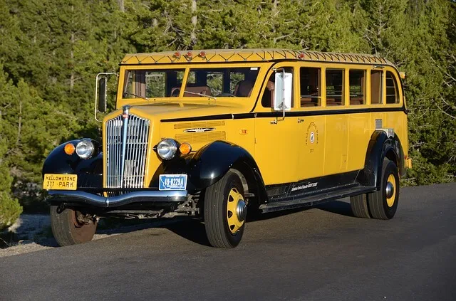 From the Enterprise Service Bus to Microservices