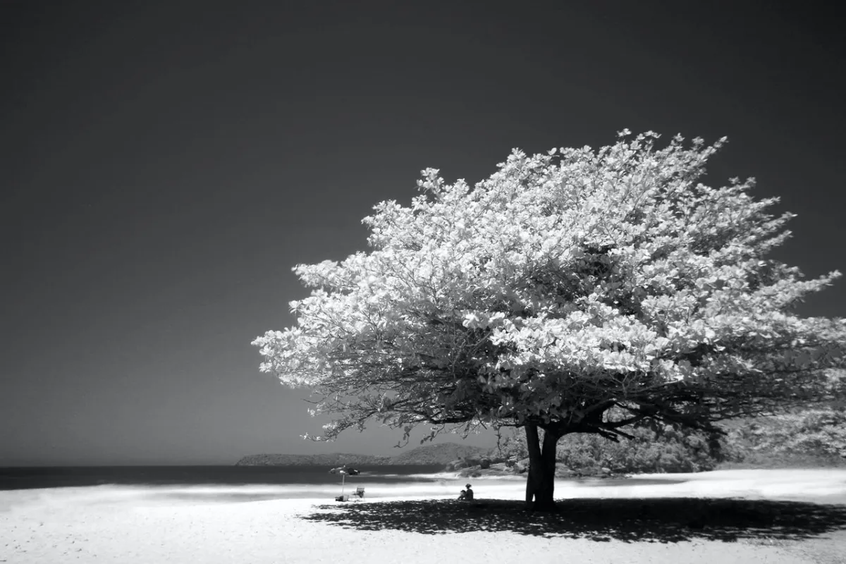 7 Benefits of Testing in Isolation