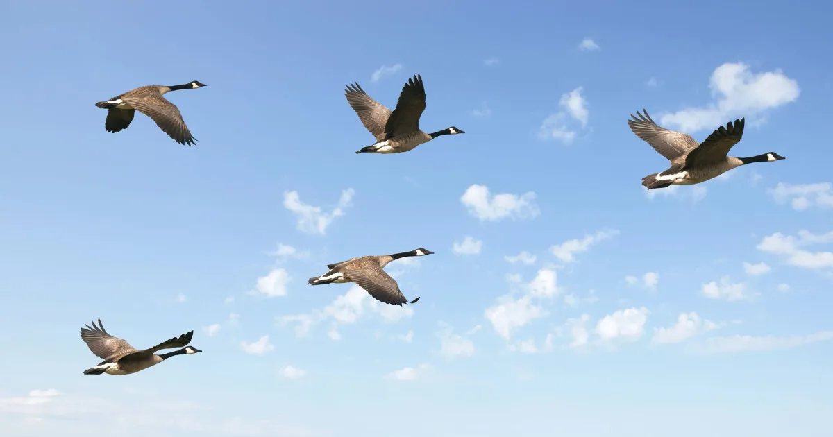 A Recipe to Migrate and Scale Monoliths in the Cloud