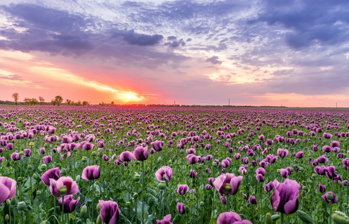 Evolution of a Feature: Growing Beyond Software Delivery