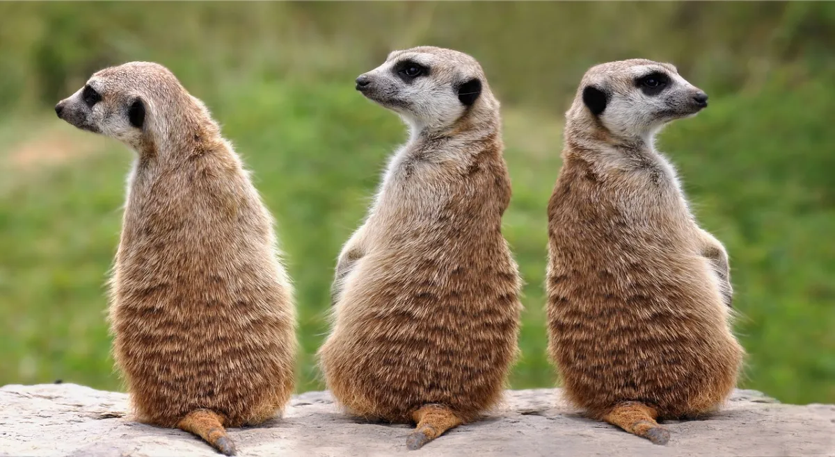 3 Realistic Approaches to Kubernetes RBAC