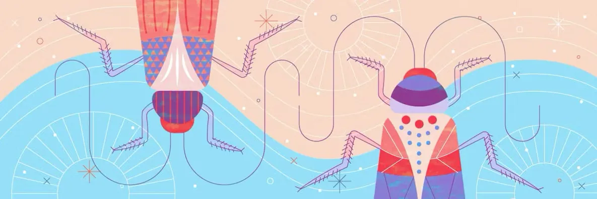 Inc. Magazine honors Cockroach Labs on Best Workplaces List 2021