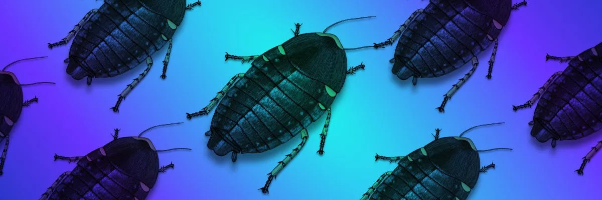 What do you think of the name "CockroachDB"?