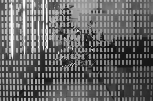 CLI: Command Line Programming with Go