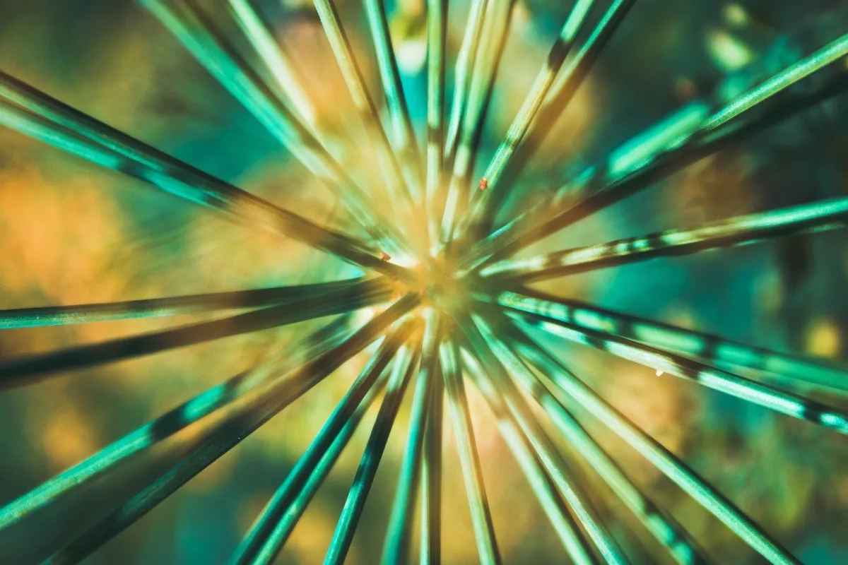 Resilience Is an R&D Problem, Not Just an SRE Problem
