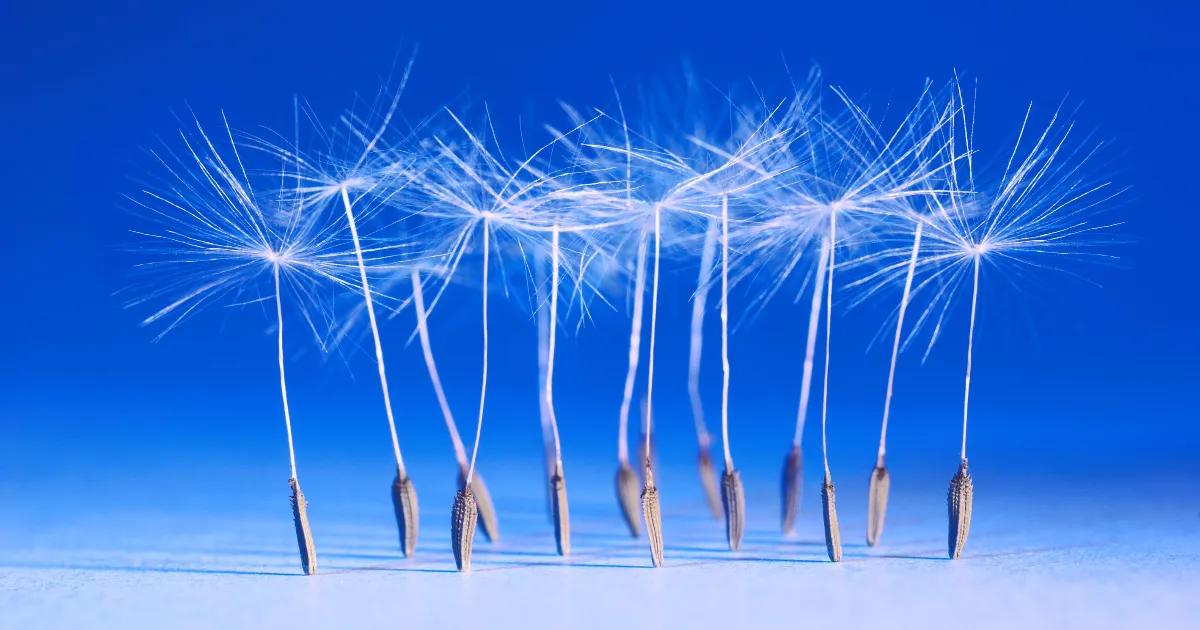 Ballerina Swan Lake: 10 Compelling Language Characteristics for Cloud Native Programming
