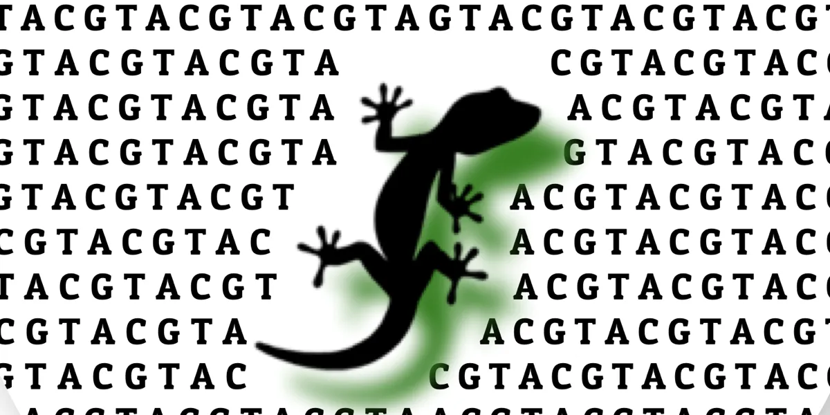 Creating CSS Shapes with Emoji