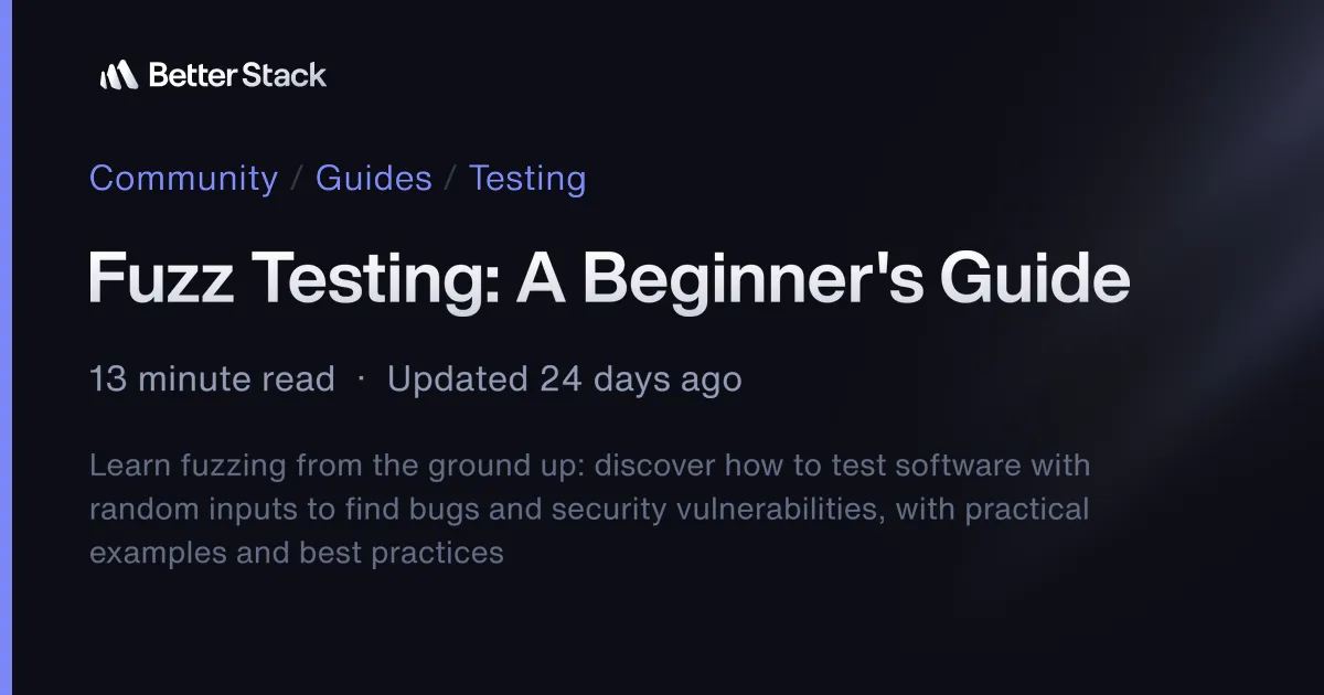 Fuzz Testing: A Beginner's Guide